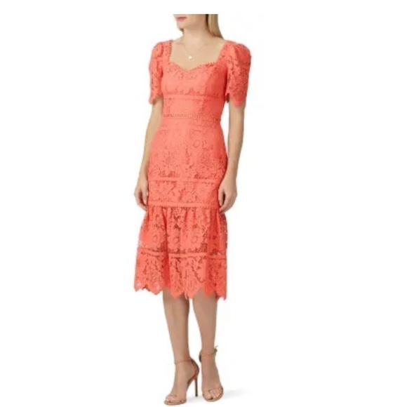Saylor Louisa Midi Dress - Picture 1 of 16